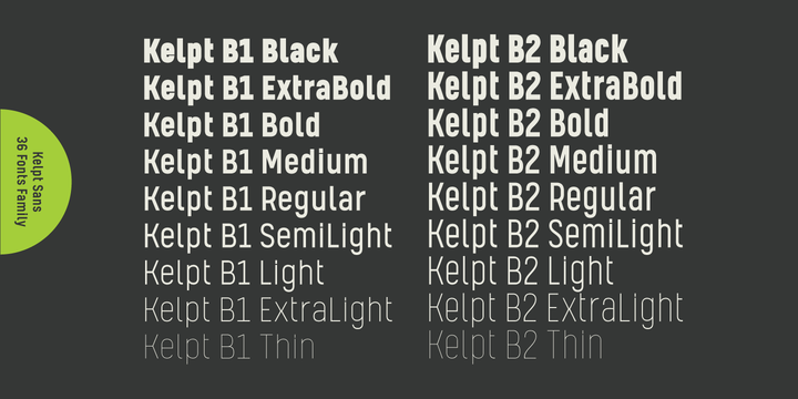 Przykład czcionki Kelpt Sans B1 Extra Light Italic